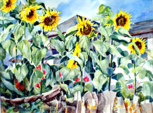 Rosie's Sunflowers